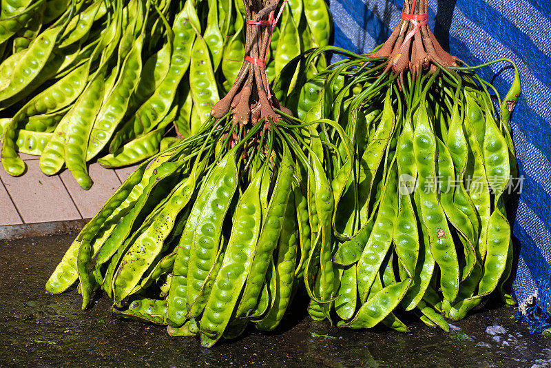 新鲜的绿色佩泰或俗称苦豆(parkia speciosa bean)